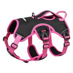 rabbitgoo Escape-Proof Dog Harness Small Dog with Handle, Anti-Pull Reflective Working Service Pets Vest, Breathable Pets Vest, Adjustable Lift Support Body Harness Outdoor, S, Pink & Black