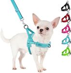 SlowTon No Pull Small Dog Harness a