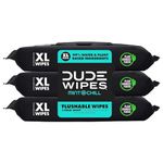 DUDE Wipes Flushable Wet Wipes Dispenser, Mint Chill, 48 Count (Pack of 3) Scented Wet Wipes with Vitamin-E, Aloe, Eucalyptus & Tea Tree Oils for at-Home Use, Septic and Sewer Safe