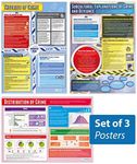 Daydream Education Crime Posters - Set of 3 | Sociology Posters | Gloss Paper measuring 33” x 23.5” | Sociology Class Posters | Education Charts