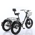 Seniors 20'' Motorized Trike Women Men Low Step-Through Electric Tricycle, Adults Electric Tricycle Trike 500W 48V/10Ah Removable Battery E-Bike with Cargo Basket