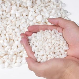 Pulovin 5 lbs White Pebbles for Indoor Plants, 1/5 Inch Pea Gravel for Terrarium, Small Rocks for Succulents, Bamboo Plants, Vases, Natural Decorative Pebbles for Plants Drainage, Cactus, Crafts