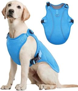 Kuoser Dog