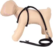 CollarDirect Rolled Leather Dog Harness Small Puppy Step-in Leash Set for Walking 10 Colors (Beige, S)