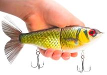7" Pedigree Glider Glide Bait Swimbait Musky Striper Bass Fishing Lure Big Multi Jointed Shad Trout Slow Sinking (7" Pedigree Glider - Golden Shiner)