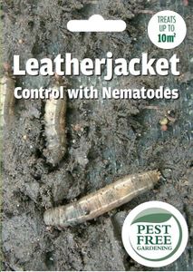 Pest Free Gardening Natural Leatherjacket Grub Nematodes Killer | Kills Daddylong Leg Grubs | Safe for Wildlife, Pets & Kids | (Treats 10sqm)