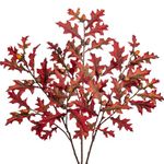 3 Pcs Fall Leaves Stems 30 inch Long Artificial Oak Faux Fall Leaves with 21 Acorns Fall Stems for Table Centerpiece Porch Vase Basket Bouquet Party Home Autumn Festival Thanksgiving Decor(Red)