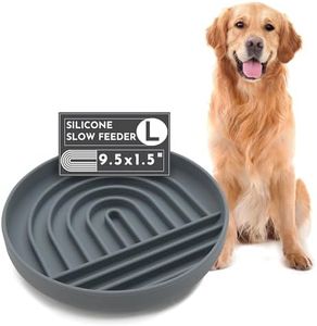 Should We Go? - The Slowdown Bowl Silicone Slow Feeder for Dogs & Puppies, Slow Eating Modern Lick Mat Design Reduces Gulping, Fits 2.5 Cups 9.5” Across x 1.5” Tall, Mealtime Challenge, Large-Charcoal