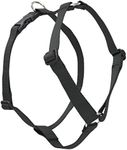 Lupine Roman Harness for Large Dogs