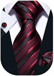 Barry.Wang Stripe Men Ties Set Clas