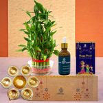 Amulya Farms Diwali Hamper Gifts Box Combo of 4 Lucky Bamboo Plant, Organic Fertiliser, Diya Shape Flower Decorative Urli Bowl, and Greeting Card | Diwali Decor |