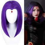 Raven Wig Short Purple Bob Raven Cosplay Costume Wigs, Women's 14-Inch Dark Purple Straight Shoulder Length Wig Heat Synthetic Fiber Middle Part Hair for Halloween