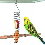 QBLEEV Stainless Steel Bird Food Holder, Parrots Foraging Toys, 25cm Long, 82g Weight, Fits Nuts, Fruits, Vegetables, Grain, Wheat, Chew Toys for Conures, Parakeets, Cockatoos