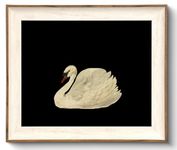 Framed Canvas Wall Art Swan Decor, Vintage Wall Art Animal Oil Painting Bathroom Wall Decor, Swan Vintage Art Prints for Wall Decor, Vintage Home Decor for Living Room Bedroom Kitchen - 10x12 inches