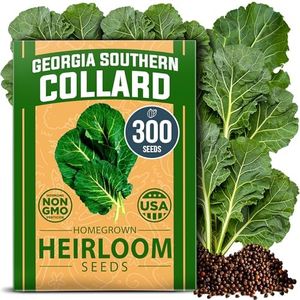 HOME GROWN Collard Green Seeds Georgia Southern Bulk Pack - 300 High Germination Non-GMO Heirloom Seeds, Collard Greens Seeds for Planting in Your Vegetable Garden (Brassica oleracea)