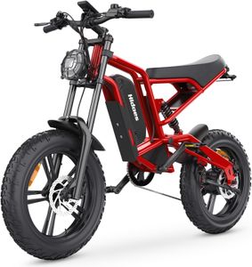 Hidoes B6 Fat Tire Electric Bike – All-Terrain E-Bike for Adults