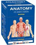 Anatomy Flash Cards: a QuickStudy reference tool