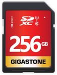 Gigastone 256GB SD Card UHS-I U1 Cl