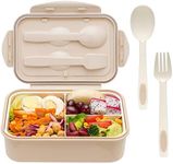 LOVINA Bento Box for Adults and Kid