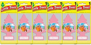 LITTLE TREES Car Air Freshener | Hanging Paper Tree for Home or Car | Cherry Blossom Honey | 6 Pack