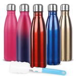 Sfee Insulated Water Bottle, 17oz Stainless Steel Water Bottles, Double Wall Vacuum Reusable Water Bottles Leak Proof BPA-Free Sports Bottle Cup Keep Hot&Cold for Running Gym Workout Cycling Kids