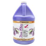 Kelco 50:1 Plum White Shampoo Gallon