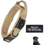 Gps Hunting Dog Collar