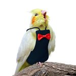 XQIGI Bird Diaper Washable Parrot Diapers Reusable Bird Flight Suit Nappies Protective Breathable Parrot Nappy Clothes for Parakeet Parrot Macaw Budgie Canary Budgie Cockatiel(Black, Large)