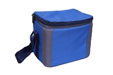 BagsRUs Polyester 6.7 L Royal Blue Portable Cooler Bag with Ice Pack