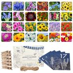 OwnGrown Flower Seeds Advent Calendar for 2024-24 Varieties of Wild Flower Plant Seeds DIY Kit - Garden Gift Decorations - Housewarming Gardening Gifts for Men and Women - Wildflower Organic Seeds