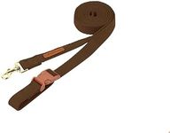 BODDLELANG 6 ft Dog Leash for Small Dogs No Pull Heavy Duty Dog Leash for Medium Dogs Hands Free Puppy Dog Training Leash Dog Leads for Walking and Outdoor Dog Run Accessories (6ft. 3/5" Brown)