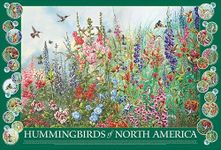 Cobble Hill 2000 Piece Puzzle - Hummingbirds of North America - Sample Poster Included