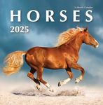 2025 Horses Hangable Wall Calendar Beautiful Wild Stallion Horse Photo Gift Cute Little Pony Mustang Animal Photography Large Months Organizing Her (2025 Horses)