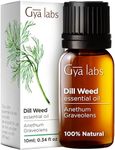 Gya Labs Dill Weed Essential Oil Di