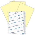 Hammermill Colored Paper, 24 lb Canary Printer Paper, 8.5 x 11 - 1 Ream (500 Sheets) - Made in the USA, Pastel Paper