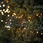 Lights4fun Solar Powered 7m Warm White LED Outdoor Cluster String Fairy Lights on Green Cable