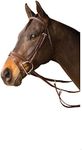 Exselle Event Plain Raised Bridle, Full, Brown