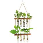 BUDDE Wall Hanging Planter, 2 Tiered Plant Propagation Stations Plant Terrarium with Wooden Stand, Glass Planter Test Tube Vase for Propagating Hydroponic Plants Home Garden Decor-8 Bulb Vase, Green