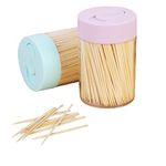 Sturdy Safe Toothpick Holder 2 Pack,Wooden Toothpicks 1000 PCS Ornate Handle for Party Appetizer Olive Barbecue Fruit Teeth Cleaning Art Craft.