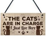 RED OCEAN Funny Cat Gifts For Cat Lovers Gift For Women Home Decor Plaque Animal Sign Pet Novelty Gifts