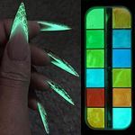 S.A.V.I 12 Grids Nail Glitter Powder Box, Nail Glow in the Dark, Luminous Nail Art Decoration, DIY Manicure Design Accessories Nail Art Kit for Women Girls