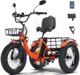 KAKIGO Electric Tricycle for Adults