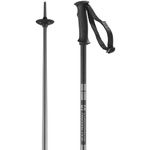 Salomon Arctic Unisex Poles Ski Hiking 110cm