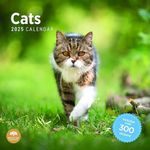 2025 Cats Monthly Wall Calendar by Bright Day, Includes Over 300 Stickers, 12 x 12 Inch