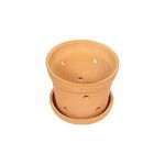 Village Decor Terracotta Orchid Pot with Tray (Pack of 1) - 6 inch