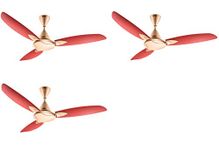 Usha Bloom Primrose 1250 mm 3 Blade Ceiling Fan (Sparkle Golden, Cherry, Pack of 3)