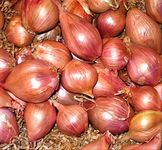 Shallots