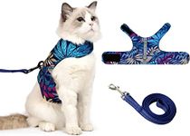 KUTKUT Cat Harness and Leash Set for Walking Harness Soft Mesh Harness Adjustable Cat Vest Harness with Reflective Strap Comfort Fit for Pet Kitten Puppy (Size: M, Chest: 28cm - 32cm)