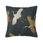 ChangQingArt Throw Pillow Covers Red-Crowned Crane Blue Decorative Pillow Cases Home Decor Square 18x18 Inches Pillowcases