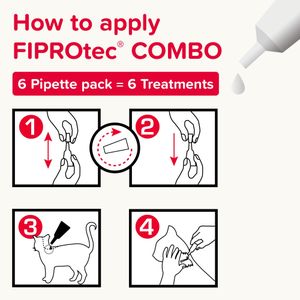Beaphar FIPROtec COMBO Cat Flea Treatment – Fast-Acting Spot-On Solution